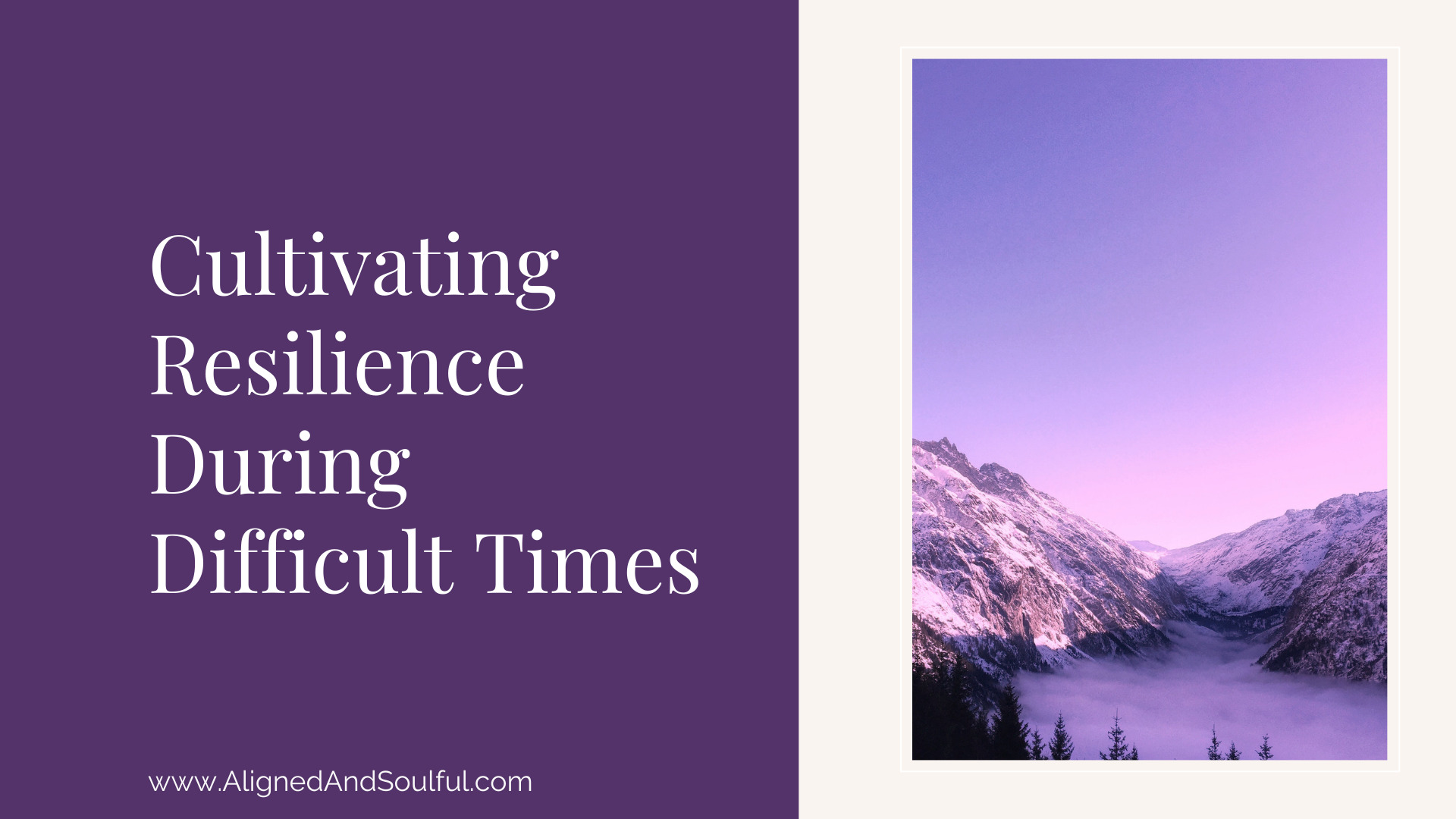 Cultivating Resilience During Difficult Times