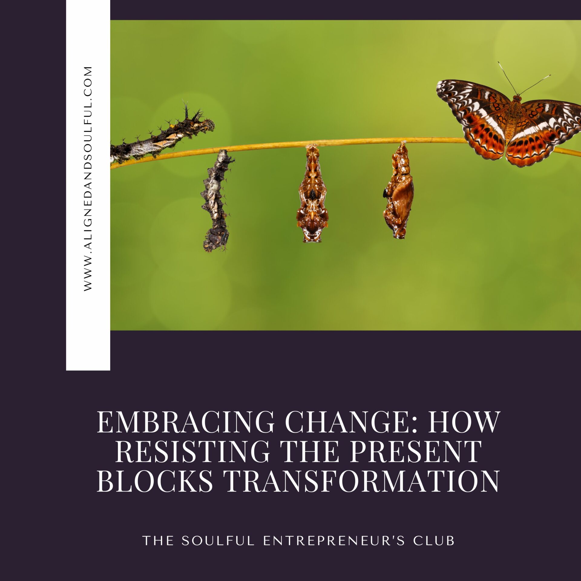 Embracing Change: How Resisting the Present Blocks Transformation